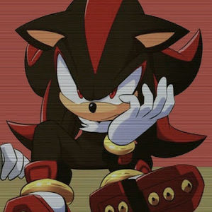 Meet your Posher, Theo